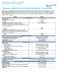 DRBA - HDHP EPO 100 $3200-$5400 Benefit Summary - January 2024 option 2 (002) (1)_002-page-0
